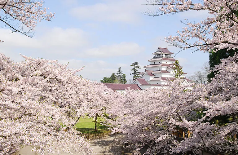 Tsurugajo Castle