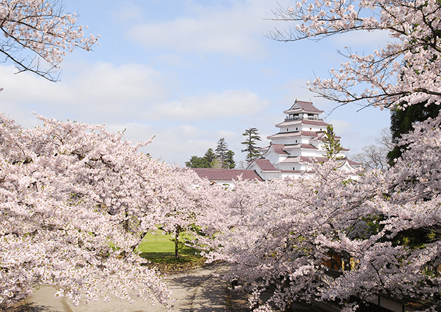 봄의 Tsurugajo Castle