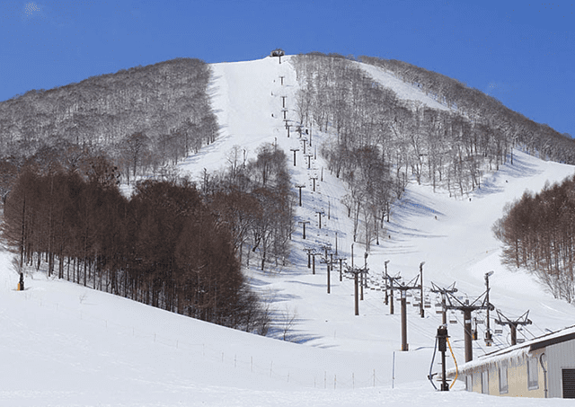 Hoshino Resorts 고양이 마운틴