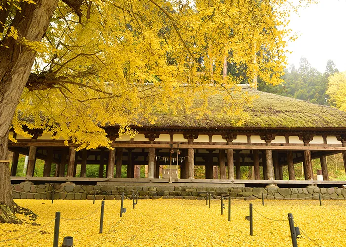 Shingu Kumano Shrine Nagatoko